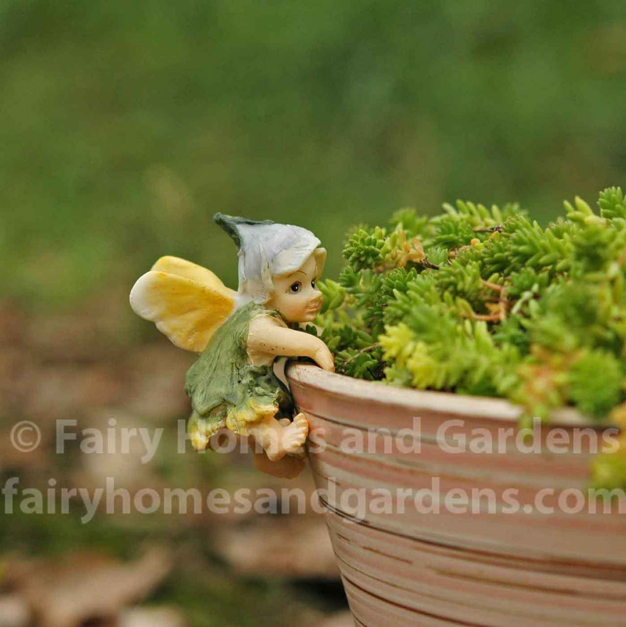 fairy plant pot Fairy Babies