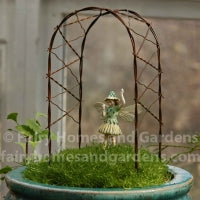 Arbors, Gazebos & Trellises