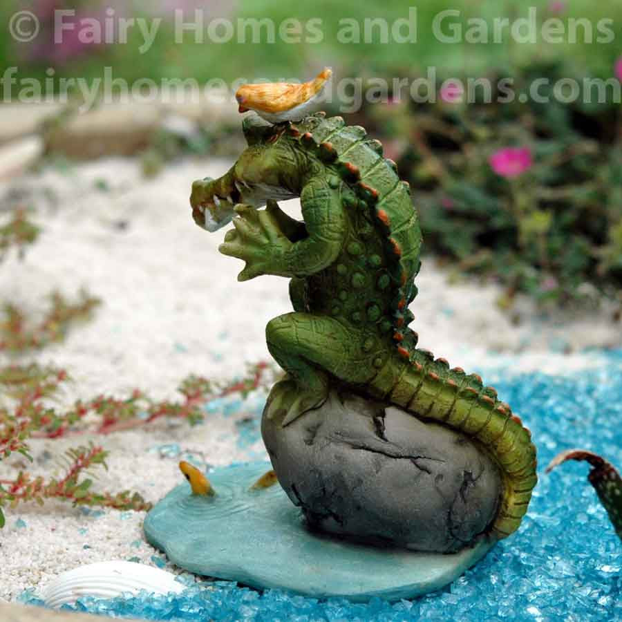 Chompie the Alligator Eyeing a Fish Back - View