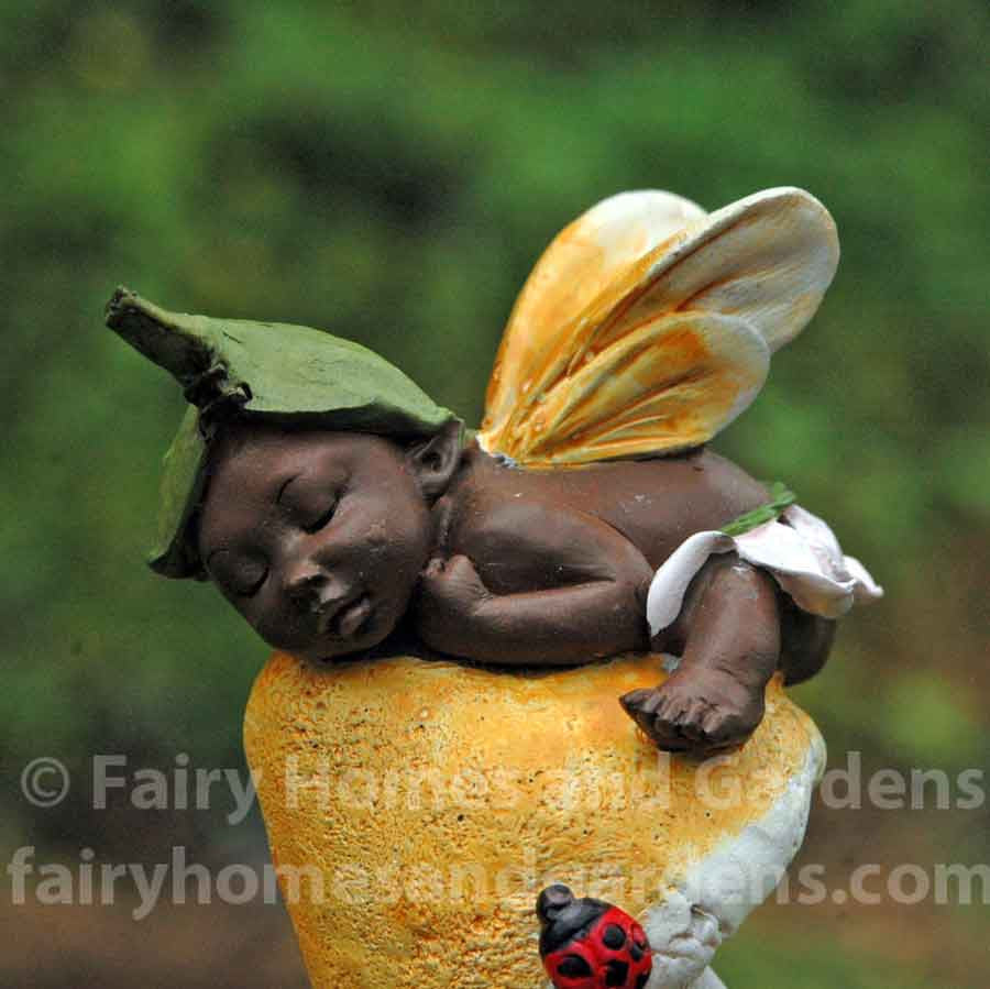 Ebony Fairy Sleeping on Mushroom Close Up