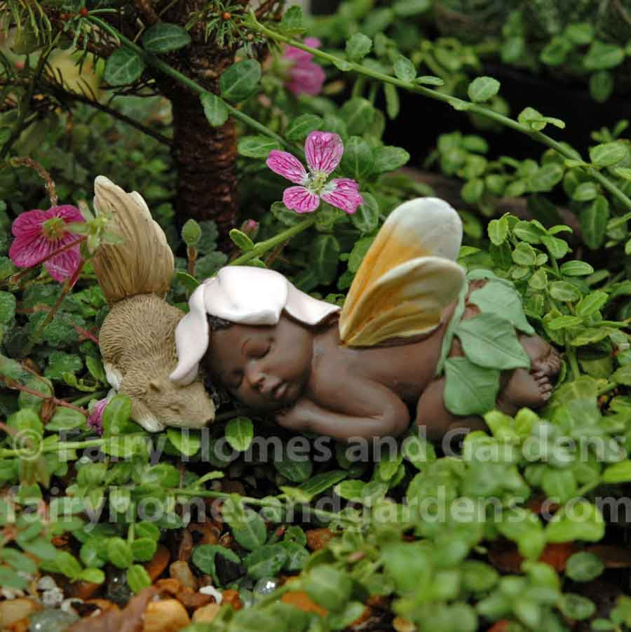 Miniature Ebony Fairy Baby Sleeping with Squirrel