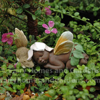 Miniature Ebony Fairy Baby Sleeping with Squirrel