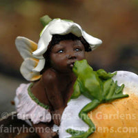 Ebony Fairy Baby Close Up