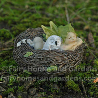 Sleeping Fairy Baby in Nest with Owl