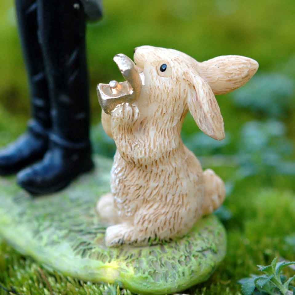 Miniature Bunny Ring Bearer
