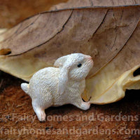 Close-up of Tiny Bunny