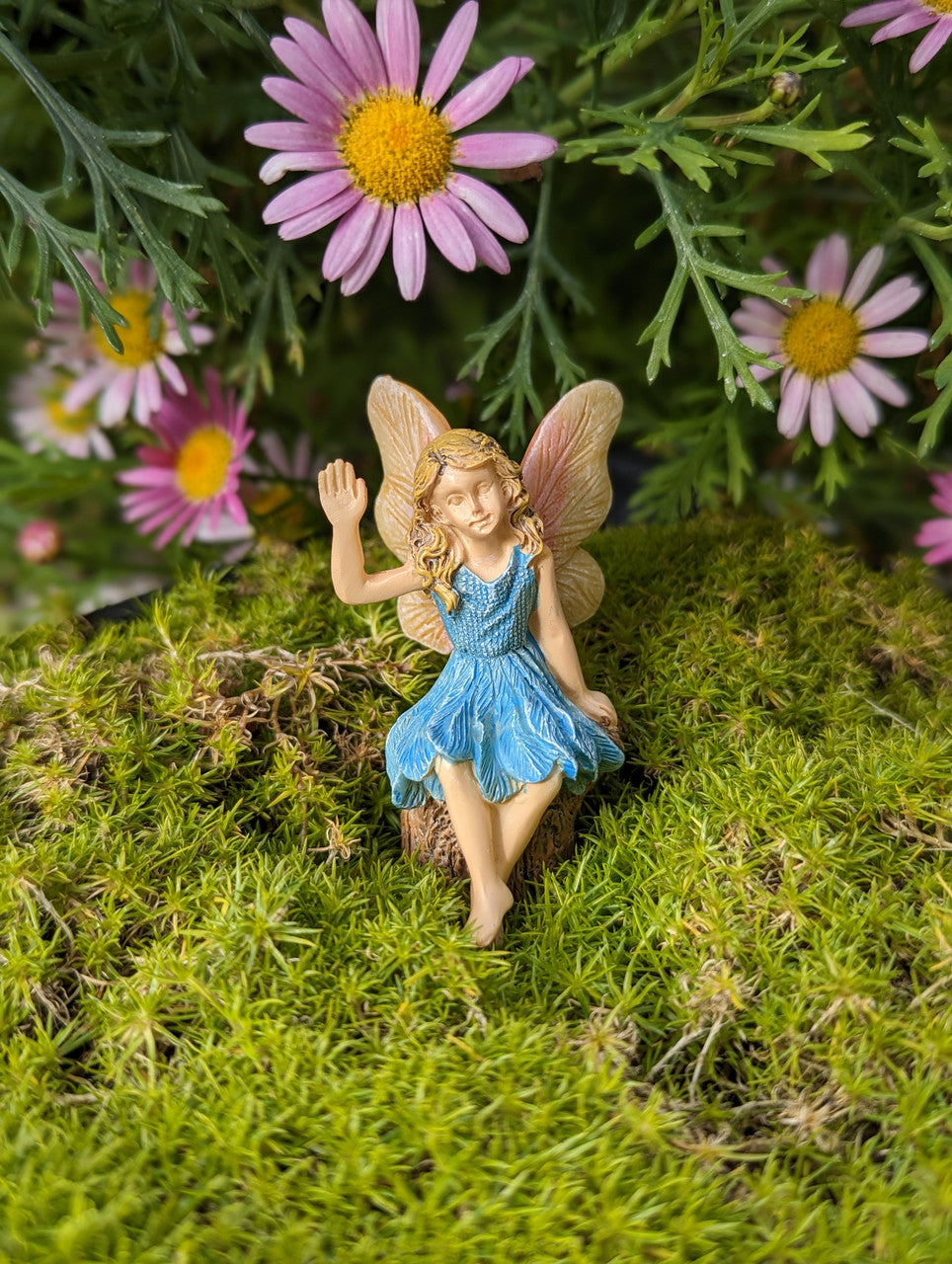 Hi There Fairy