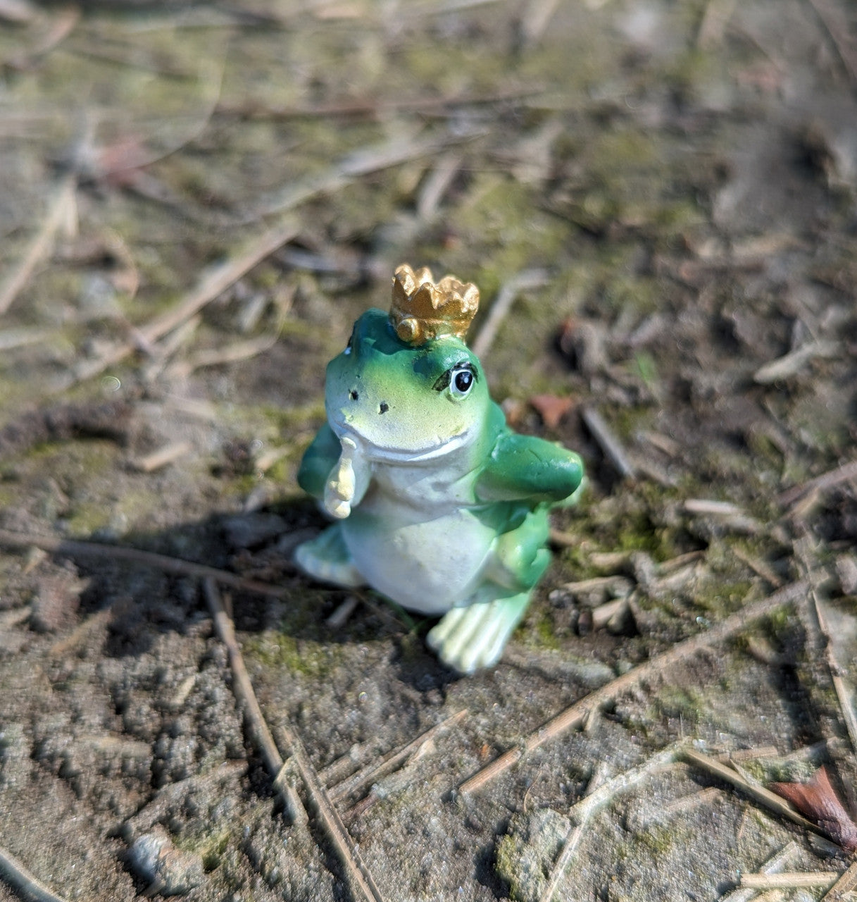 Miniature Frog Prince