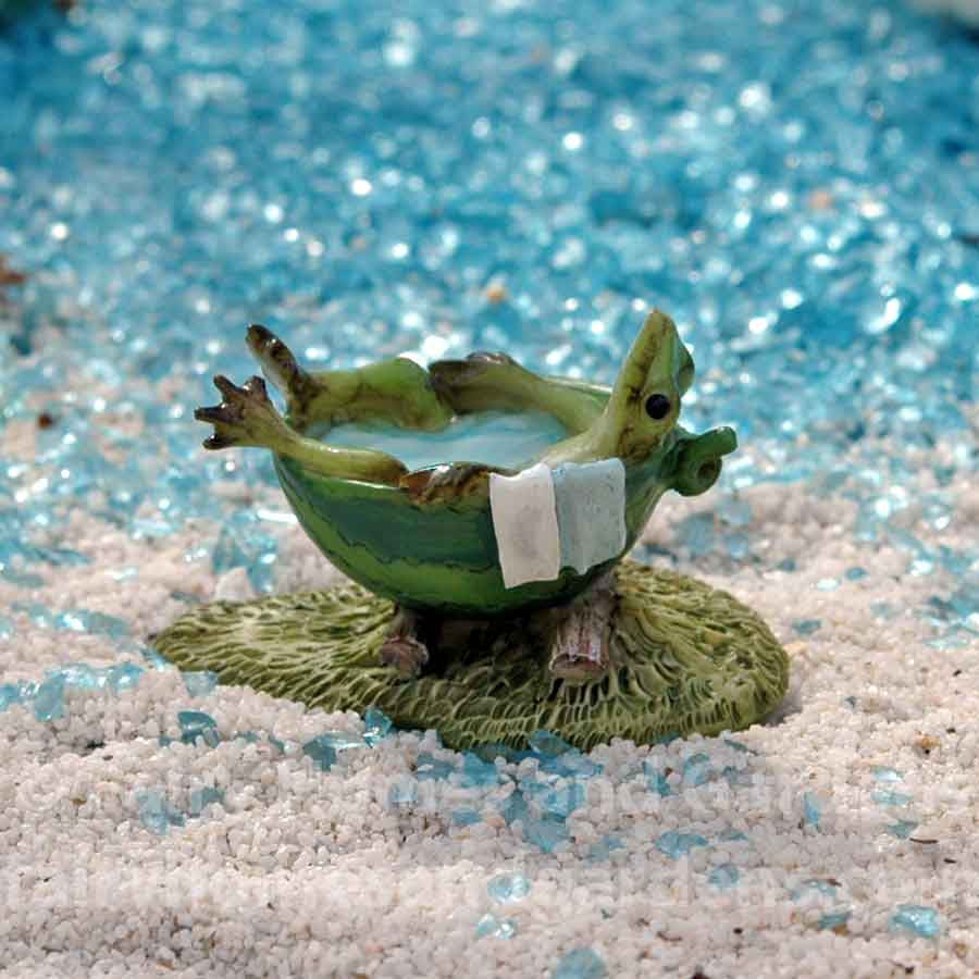 Mini Frog Taking A Bath collectible