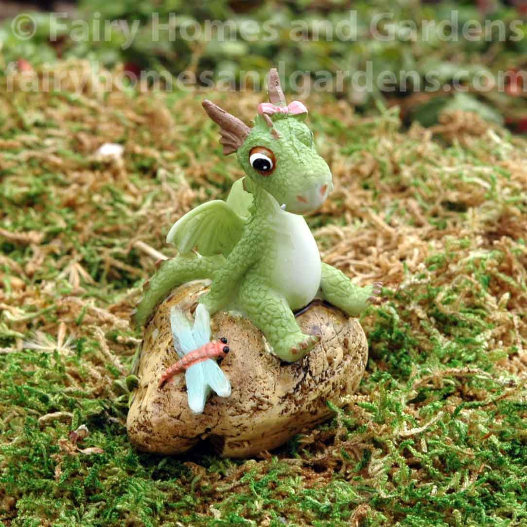 Mini Girl Dragon -Emberz