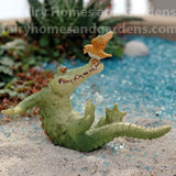 Miniature Alligator 'Chompie' Playing with Bird - Alternate View