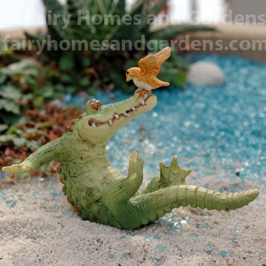 Miniature Alligator 'Chompie' Playing with Bird - Alternate View