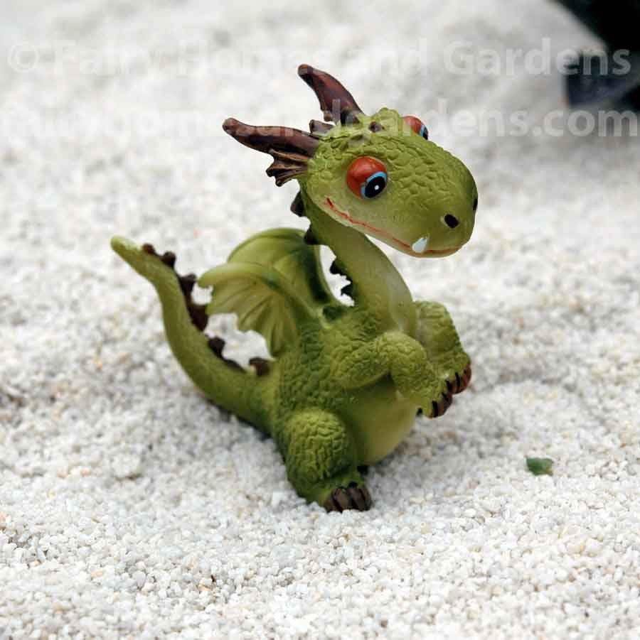 Miniature Big-Eyed Baby Dragon