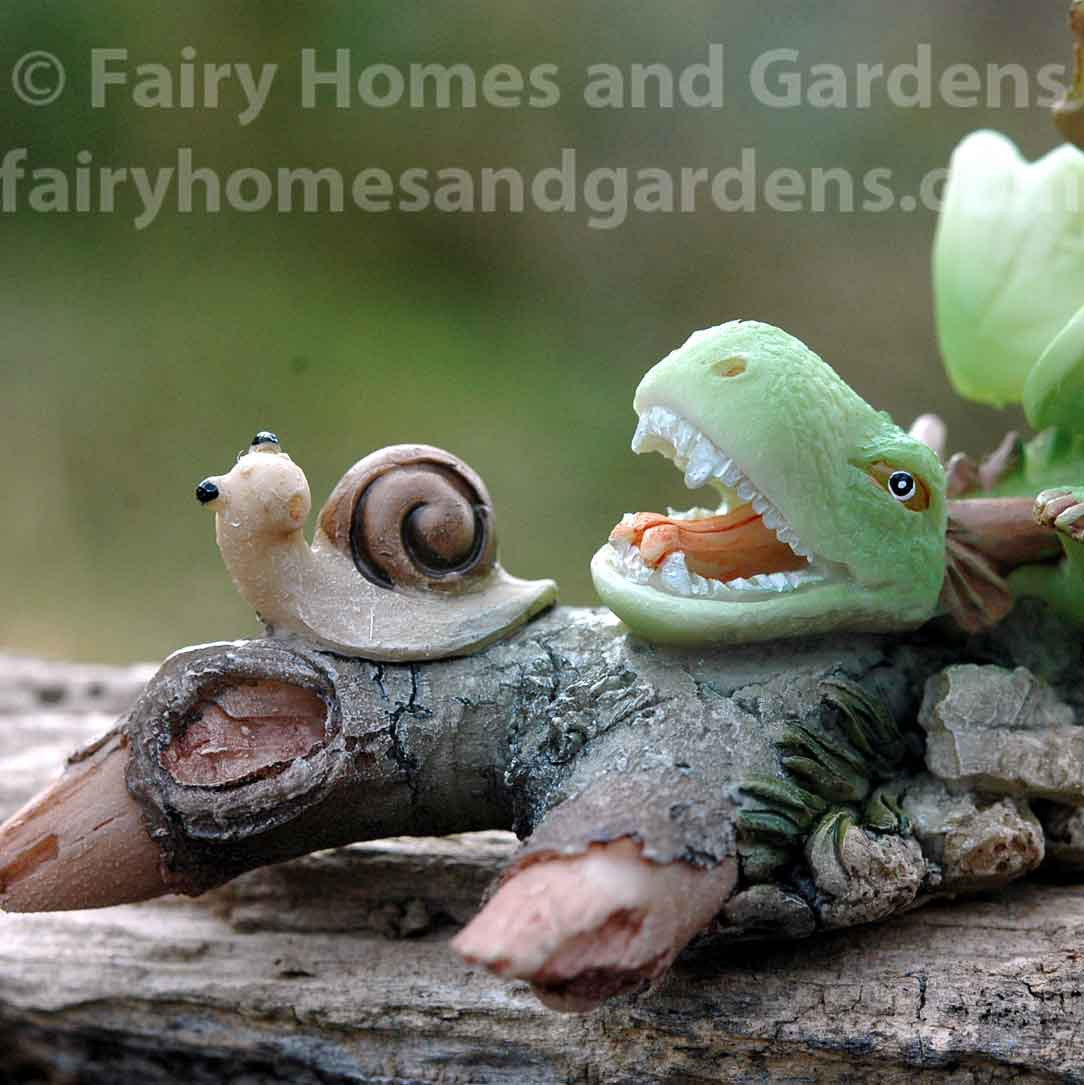 Miniature Dragon Playing with Snail Close Up