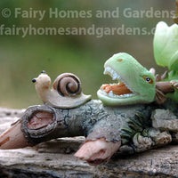 Miniature Dragon Playing with Snail Close Up