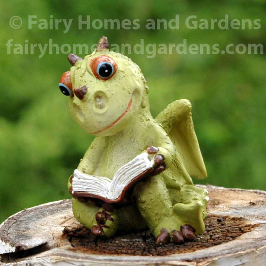 Miniature Dragon Reading