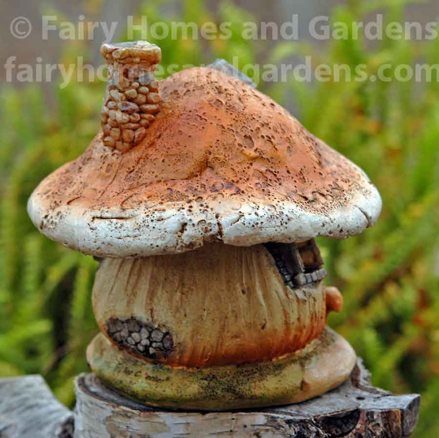 Miniature Mushroom Fairy Cottage