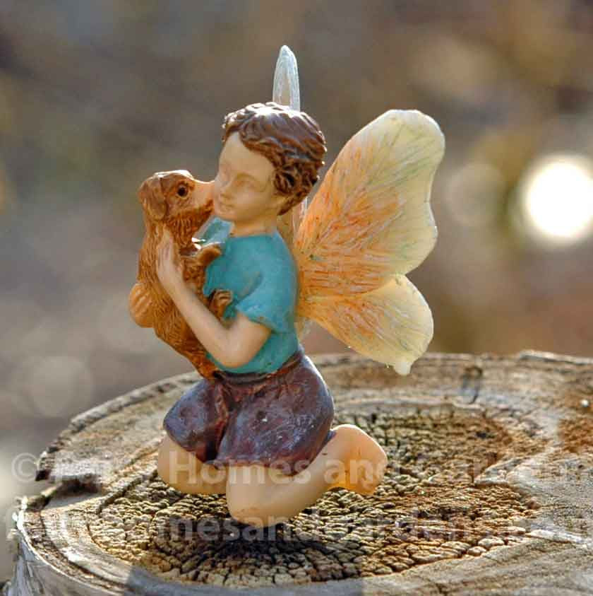 Miniature Fairy Boy with Puppy