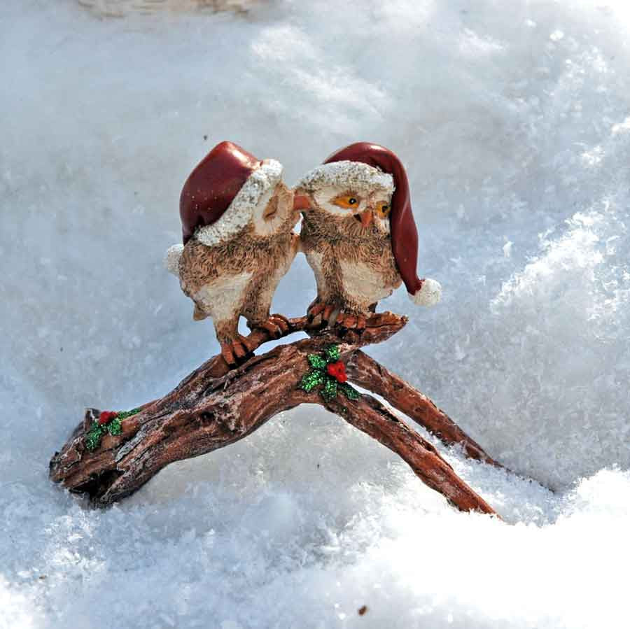 Mistletoe Christmas Owls Kissing 