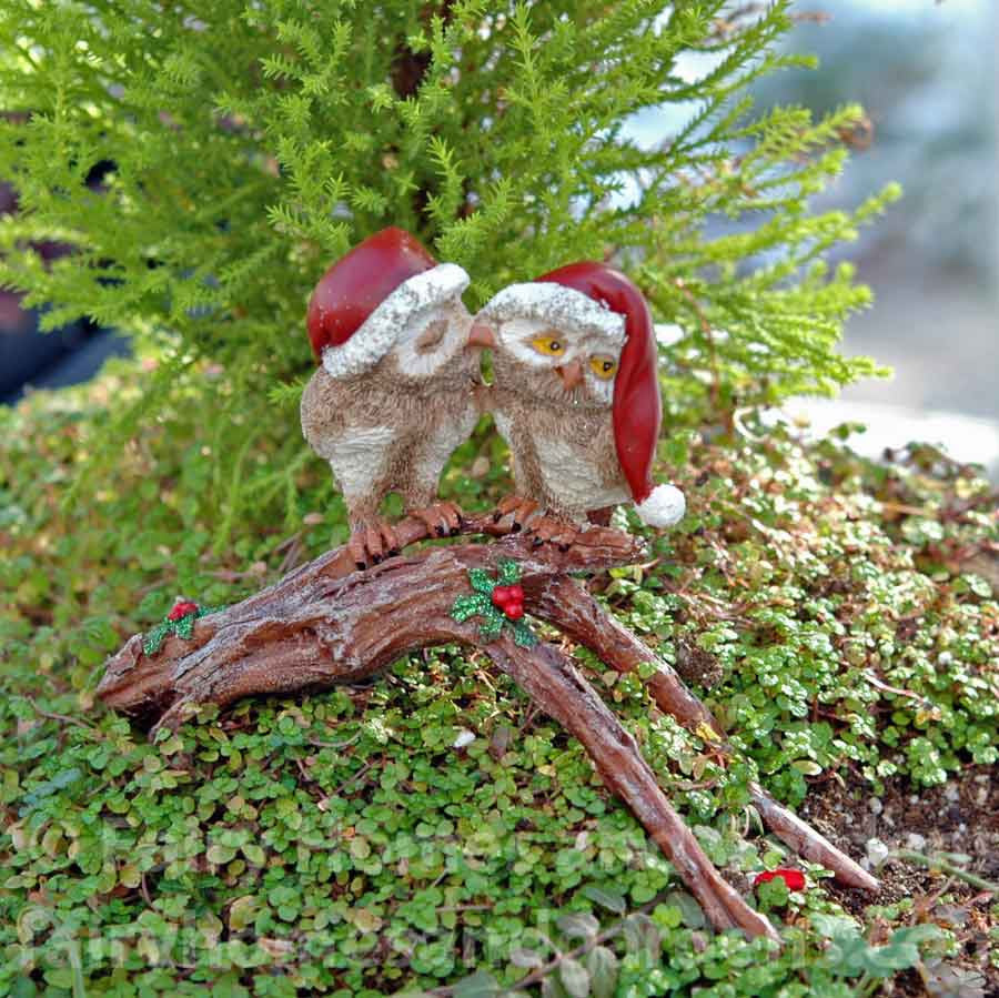 Mistletoe Christmas Owls Kissing - Alternate View