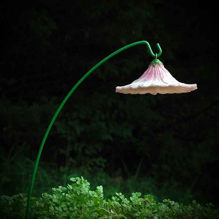 Pink Flower Blossom Fairy Umbrella