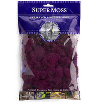 Preserved Reindeer Moss - Fuchsia