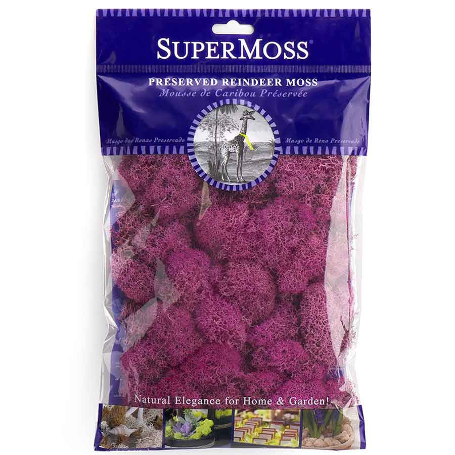 Preserved Reindeer Moss - Pink 