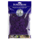 Preserved Reindeer Moss - Purple