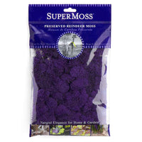 Preserved Reindeer Moss - Purple