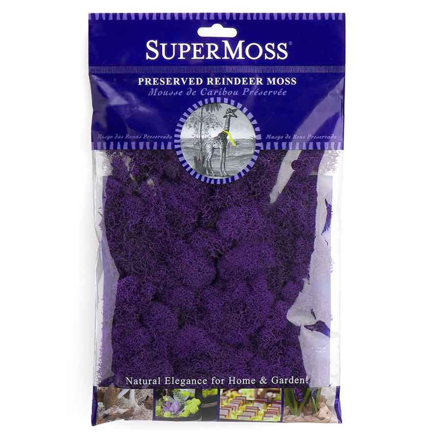 Preserved Reindeer Moss - Purple