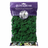 Preserved Reindeer Moss - Forest Green
