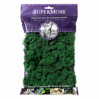 Preserved Reindeer Moss - Forest Green