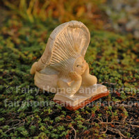 Miniature Shroom Baby