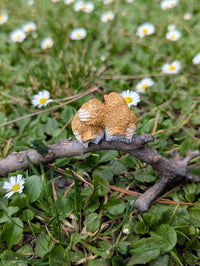 Lover Birds on Branch