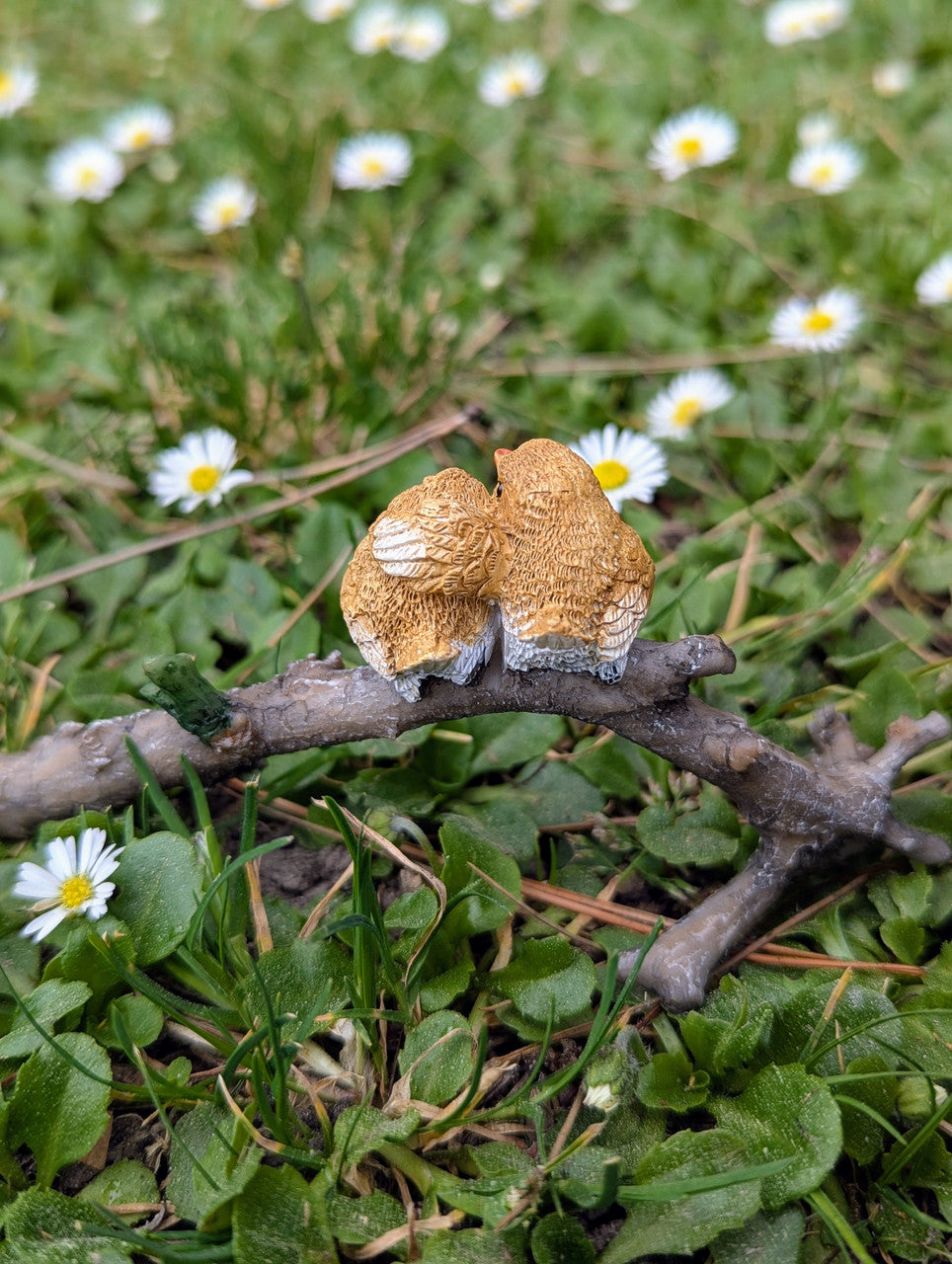 Lover Birds on Branch
