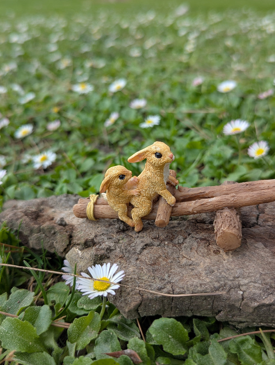 Miniature Rabbits Playing on Seesaw