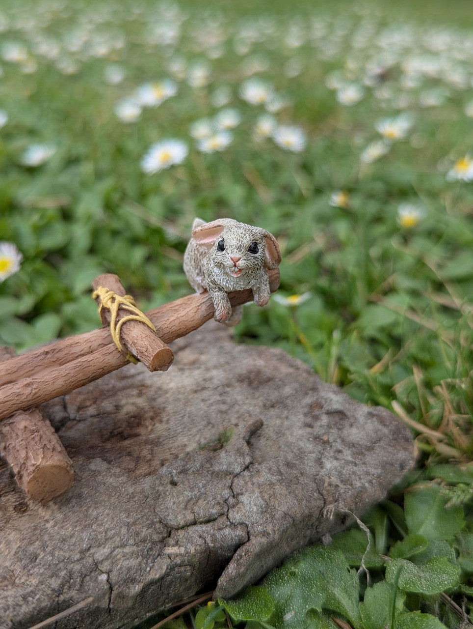Miniature Rabbits Playing on Seesaw