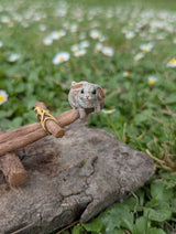 Miniature Rabbits Playing on Seesaw