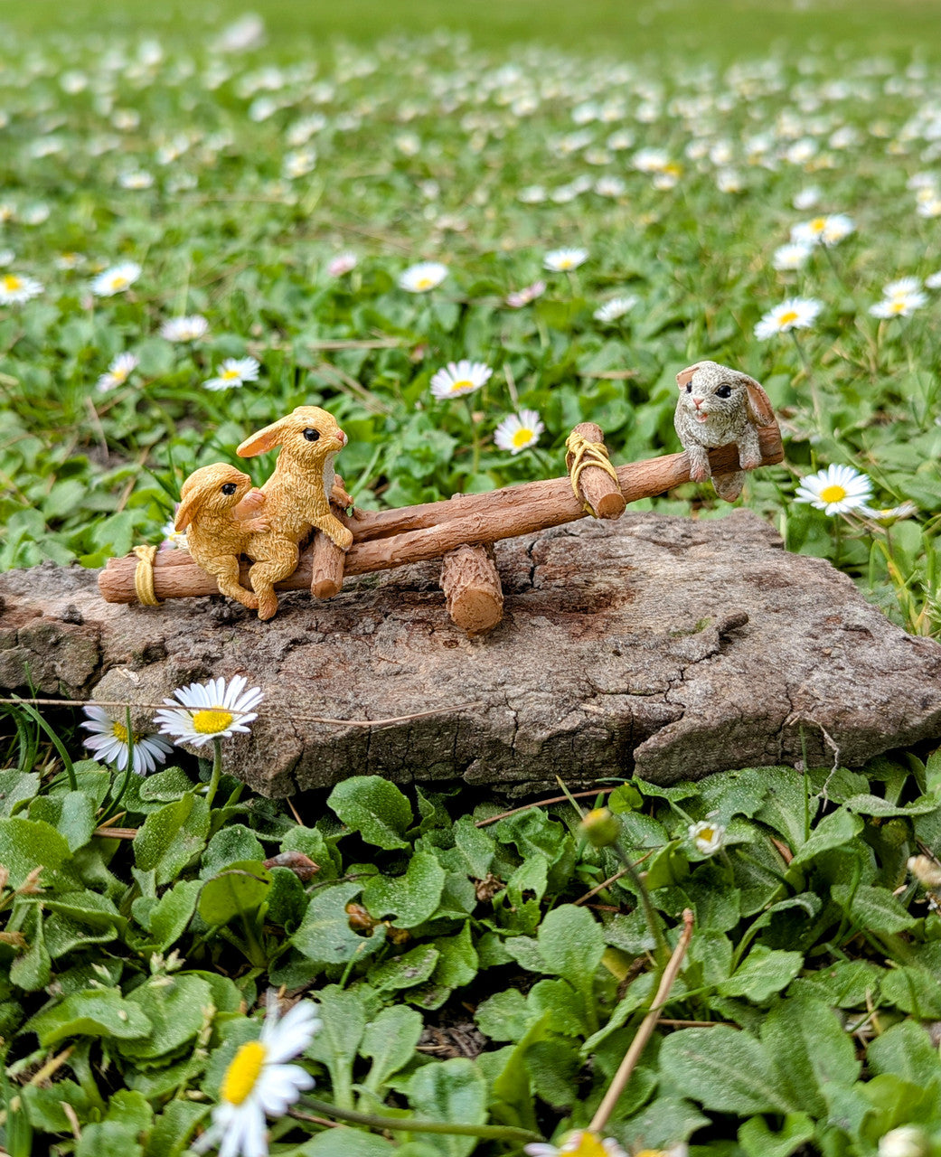 Miniature Rabbits Playing on Seesaw