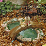 Tree Bridge Fairy Pond with Fairy Lily