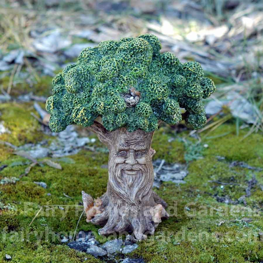 Woodland Knoll 'Wise Old Tree'