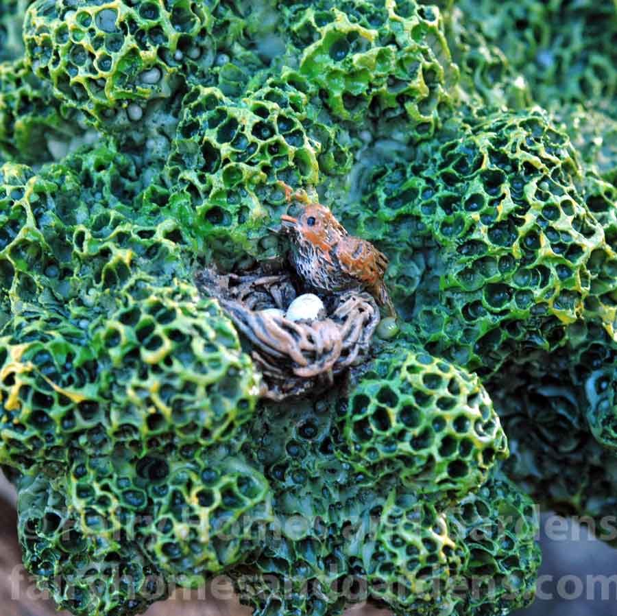 Woodland Knoll 'Wise Old Tree' Close-Up of Bird's Nest