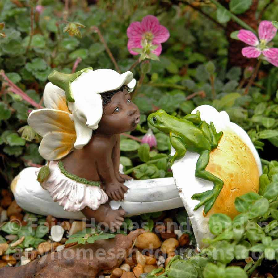 Miniature Ebony Fairy Baby Kisses a Frog