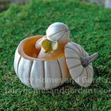 Fairy Baby Sleeping in White Pumpkin Shell