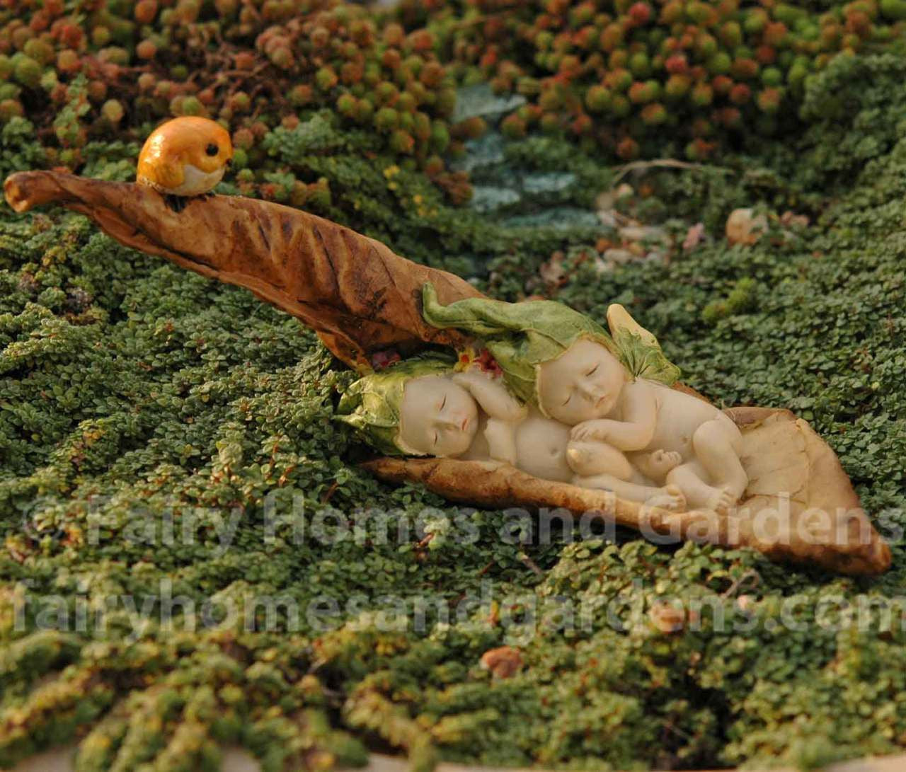 Sleeping Fairy Babies