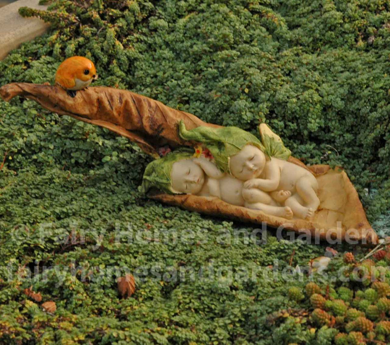 Sleeping Fairy Babies