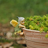 Fairy Baby Pot Hugger