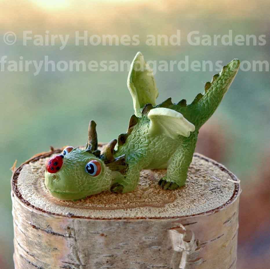 Miniature Baby Dragon with Tiny Ladybug