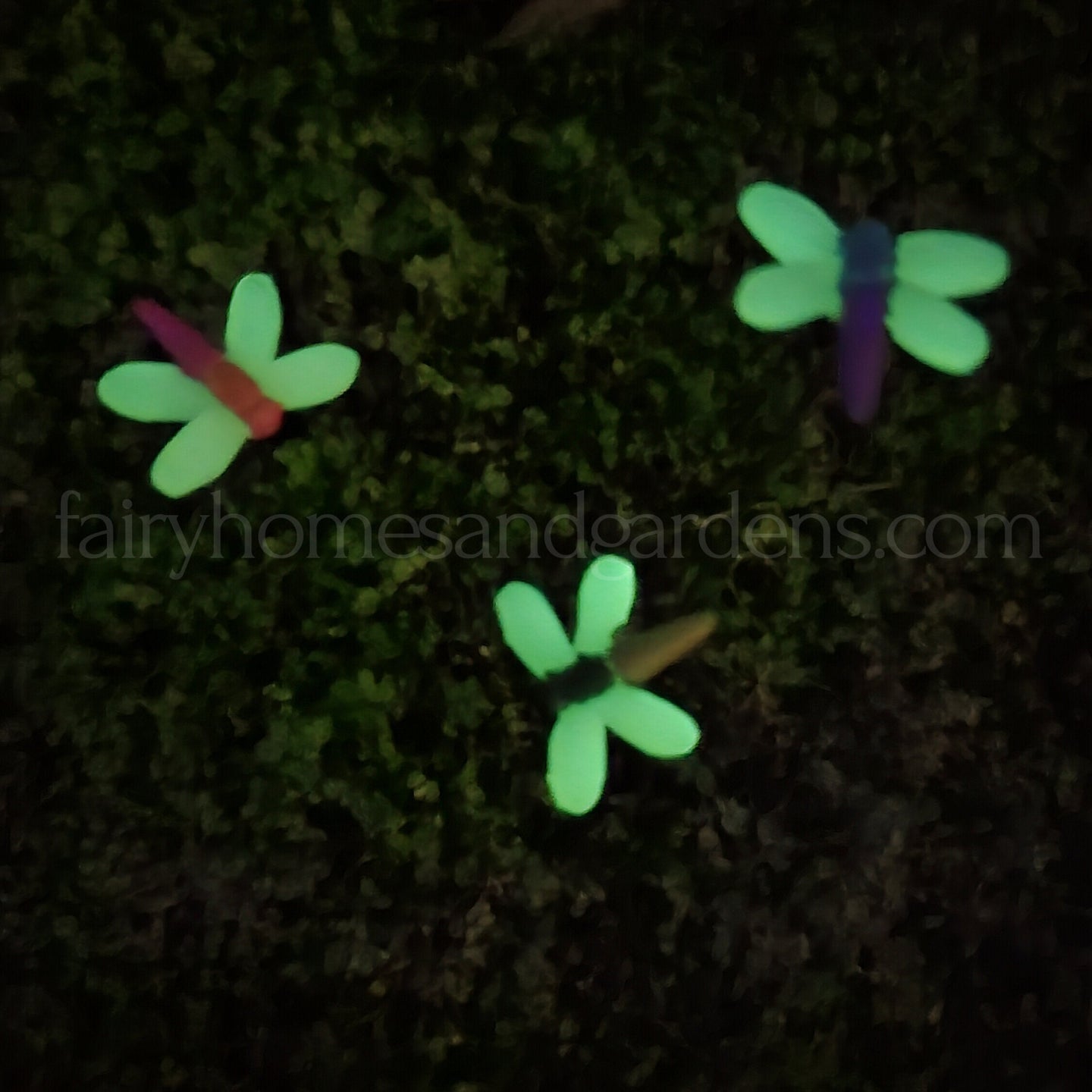Miniature Glow in the Dark Dragonflies Set of Three