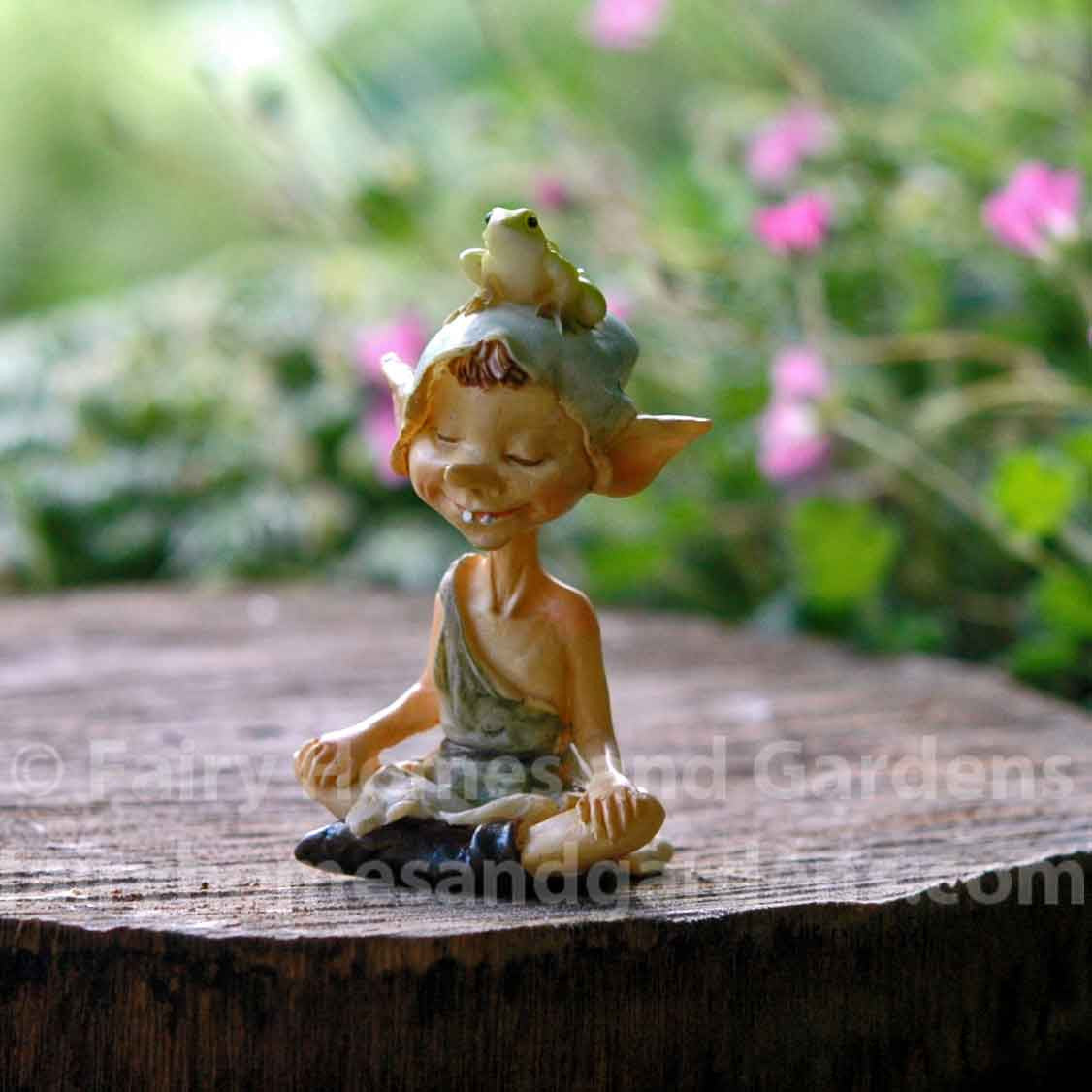 Pixie Meditating With Tiny Frog